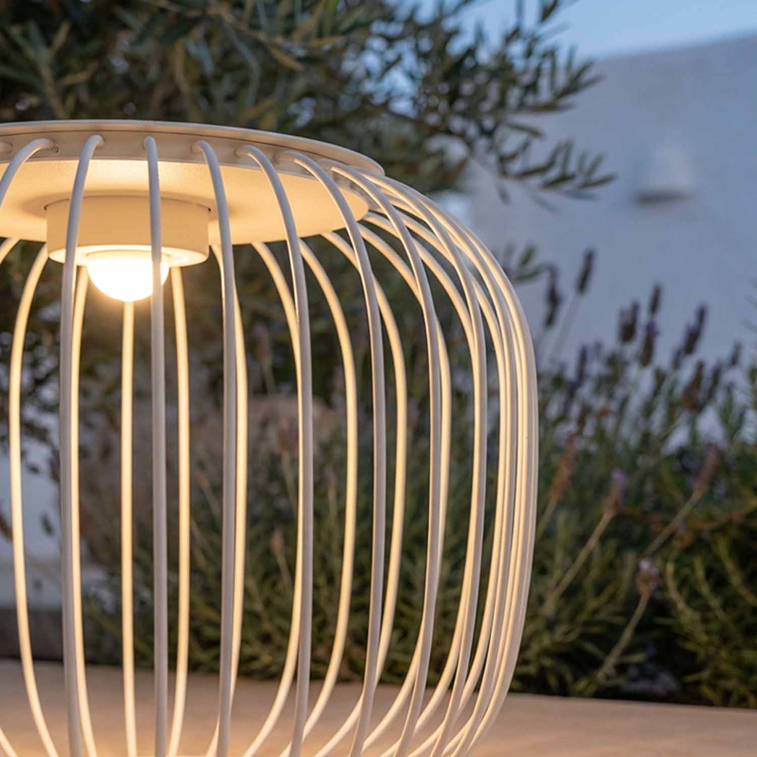 Profesjonalna dioda LED CREE