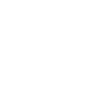 social icon instagram